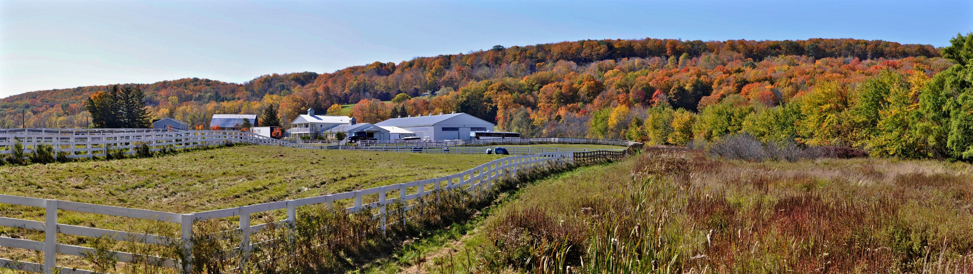 Panoramic view of a horse farm at Niagara Escarpment in autumn, Milton, Ontario, Canada.