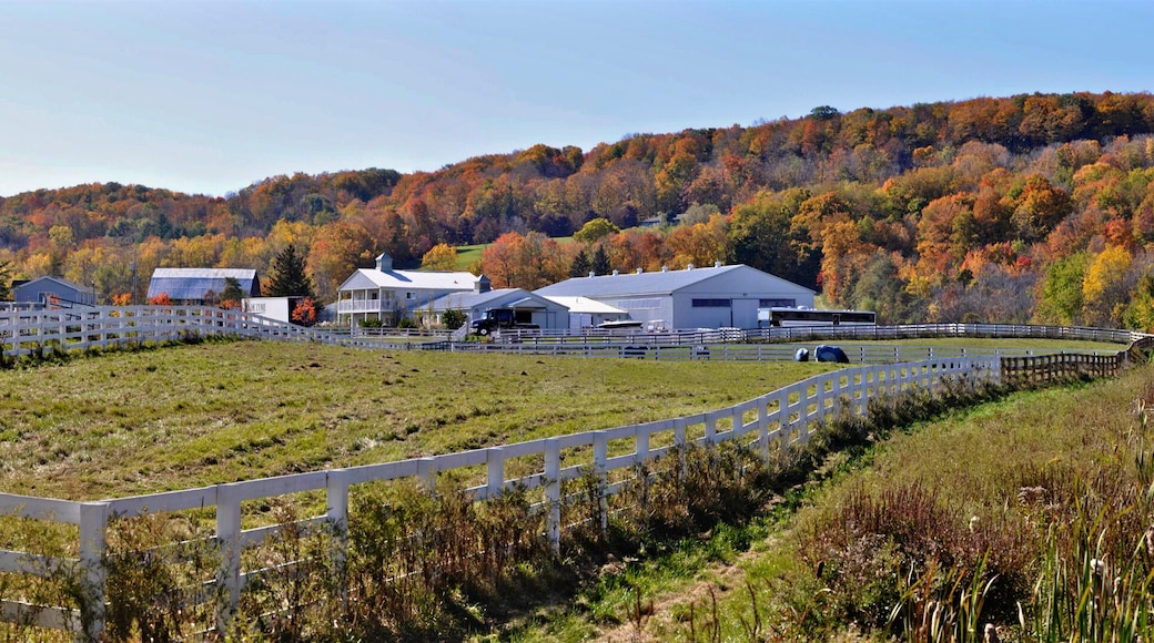 Panoramic view of a horse farm at Niagara Escarpment in autumn, Milton, Ontario, Canada.