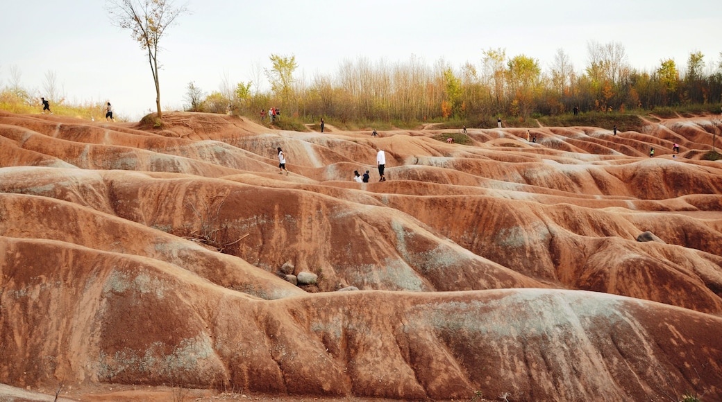 Cheltenham Badlands