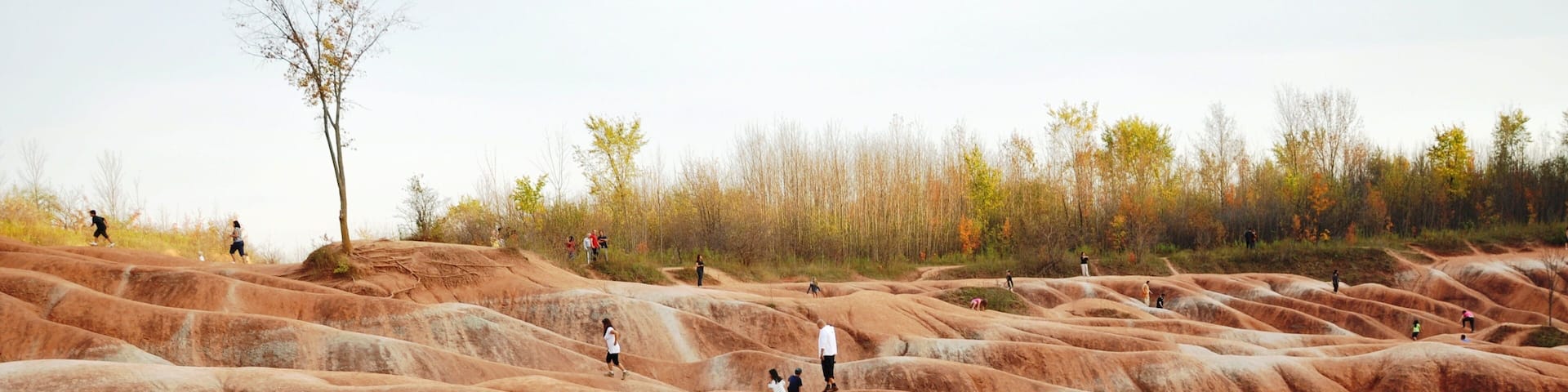 Terraced hills with people walking.