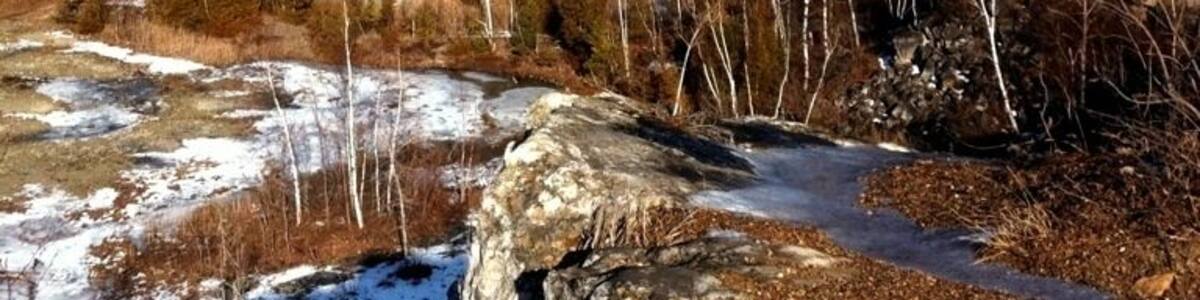 Designated a UNESCO World Biosphere Reserve in 1990, the Niagara Escarpment is an internationally recognized landform and is the cornerstone of Ontario’s Greenbelt. A landscape of rich biodiversity, home to hundreds of Ontario's Species at Risk, vital watersheds, agricultural areas and 450-million year old geological history.