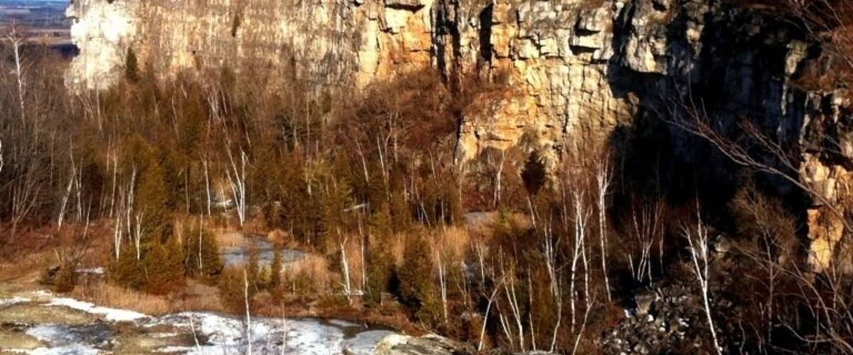 Designated a UNESCO World Biosphere Reserve in 1990, the Niagara Escarpment is an internationally recognized landform and is the cornerstone of Ontario’s Greenbelt. A landscape of rich biodiversity, home to hundreds of Ontario's Species at Risk, vital watersheds, agricultural areas and 450-million year old geological history.