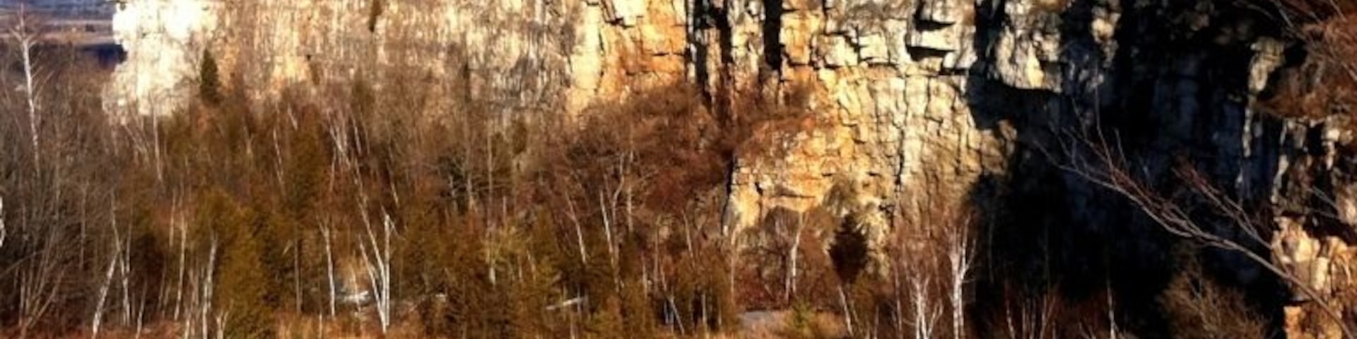 Designated a UNESCO World Biosphere Reserve in 1990, the Niagara Escarpment is an internationally recognized landform and is the cornerstone of Ontario’s Greenbelt. A landscape of rich biodiversity, home to hundreds of Ontario's Species at Risk, vital watersheds, agricultural areas and 450-million year old geological history.