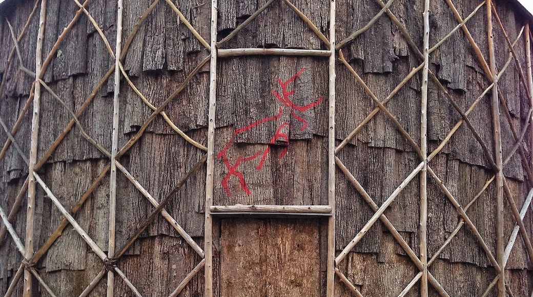 Entrance to the log house.
What you see here is called the Log House and about 30 people lived inside of it.
Inside you would find 3 fire pits where the families would sleep around to stay warm in adjacent bunks.
They believe this area was inhabited by ancestors of the Wendat (Huron) or Attawandaron (Neutral) confederacies.