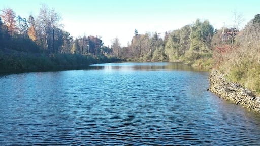 While on a walk around the neighbourhood, I found this gorgeous view 🥰. If your ever in the area, make sure to stop by have a seat and enjoy the serenity of this view. #Perspectives