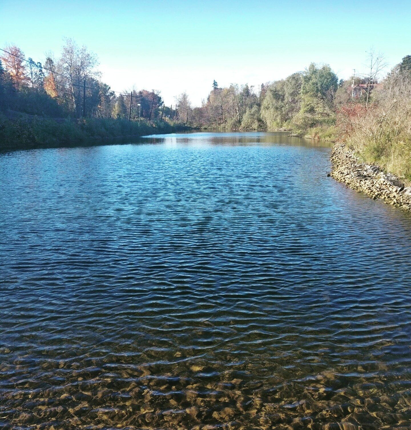 A river with clear water, surrounded by trees and a rocky bank.