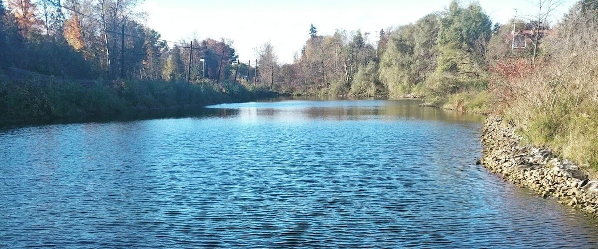 A river with clear water, surrounded by trees and a rocky bank.