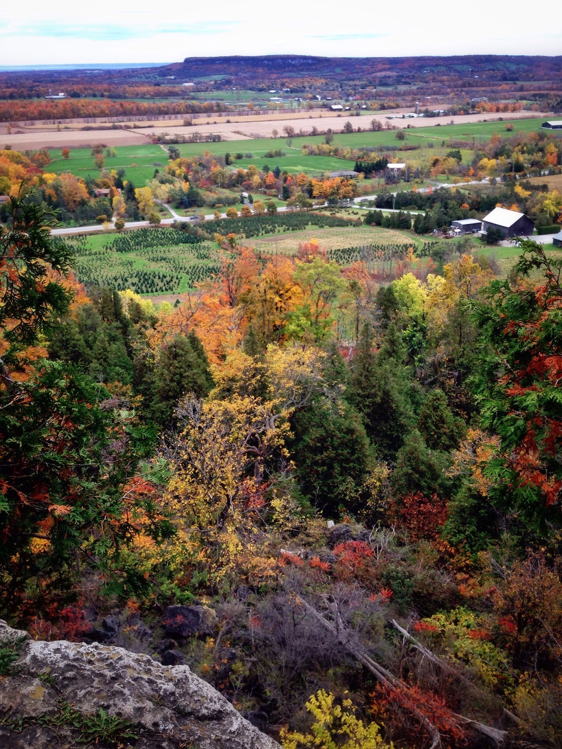 View from one of the lookout points at Rattlesnake Point.

Consists of three main trails and has 5 lookout points. The trails are well marked and fairly easy to trek through.

Costs just approx. $6.95 to get in but your ticket is good for entry into its 7 sister parks. 

Breath taking views from atop of the Niagara Escarpment. 

The trail I went on was called the Vista Adventure trail which took about an hour to complete and has 3 of the 5 lookout points.

The park consists of 264 hectares of protected land consisting of glacial deposits, hidden caves, and bold faced cliffs.