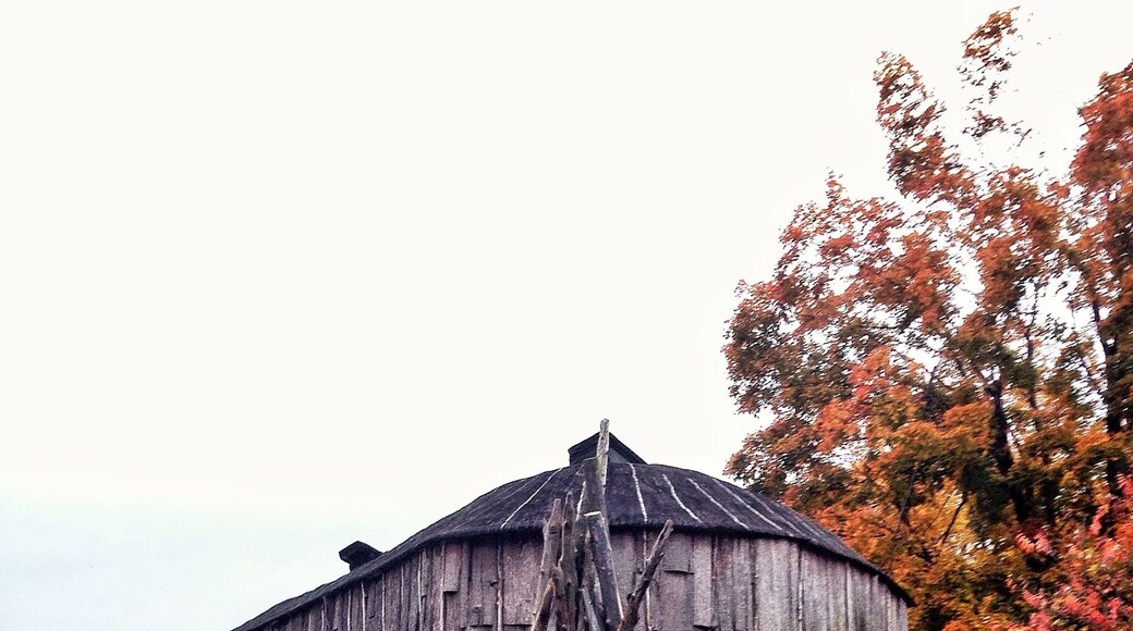 After Rattlesnake point we took a drive over to 2 other sister parks. This one was called Crawford Lake Conservation Area. We didn't have time to do the trails because they close at 7pm but we were able to check out the ancient establishments inside.
Unfortunately no one was around to explain what we were looking at so my knowledge of this is limited to what the signs said.
What you see here is called the Turtle Clan Log House and about 30 people lived inside of it.
Inside you would find 3 fire pits where the families would sleep around to stay warm in adjacent bunks.
They believe this area was inhabited by ancestors of the Wendat (Huron) or Attawandaron (Neutral) confederacies.