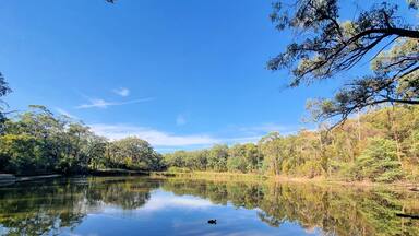A lake surrounded by trees on the Edward Hunter Bush Reserve Moe Victoria. Reflections of the trees can be seen on the water.