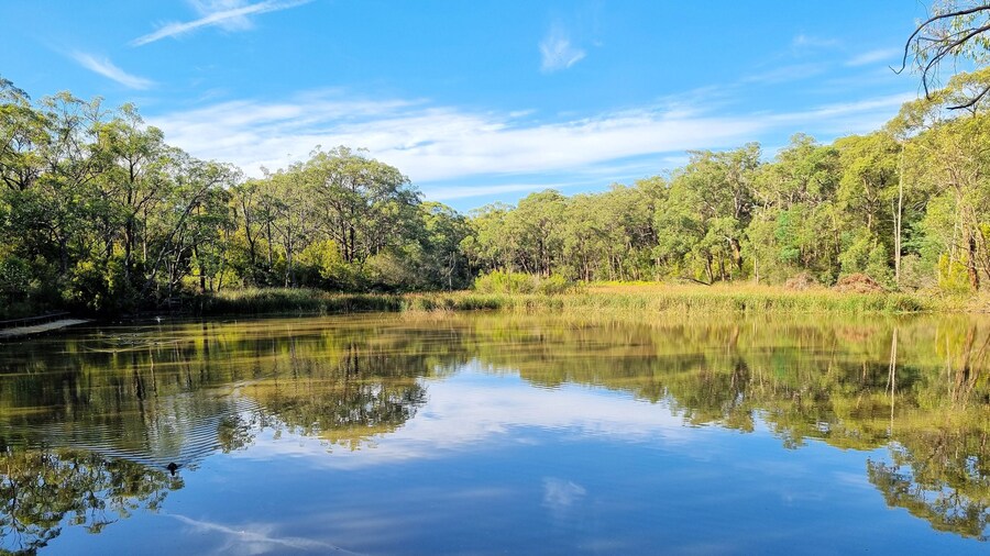 A lake surrounded by trees on the Edward Hunter Bush Reserve Moe Victoria. Reflections of the trees can be seen on the water.