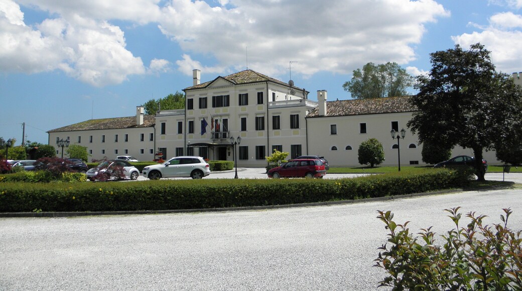Zerman, frazione di Mogliano Veneto: Villa Braida (XIX secolo).