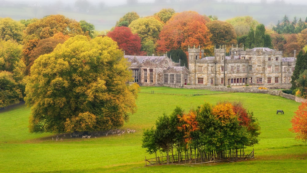 Back in time: under a grey sky by a splendid autumn's morning, alone in a park just accompany by deers, horses and cows, Lough Fea, Carrickmacross, County Monaghan, Ireland