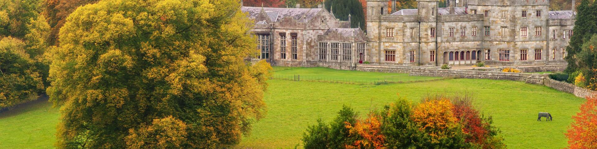 Back in time: under a grey sky by a splendid autumn's morning, alone in a park just accompany by deers, horses and cows, Lough Fea, Carrickmacross, County Monaghan, Ireland