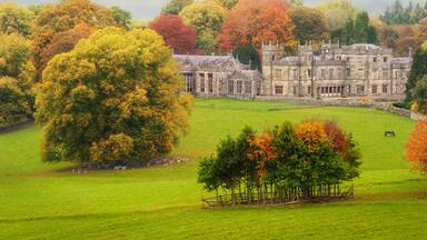 Back in time: under a grey sky by a splendid autumn's morning, alone in a park just accompany by deers, horses and cows, Lough Fea, Carrickmacross, County Monaghan, Ireland