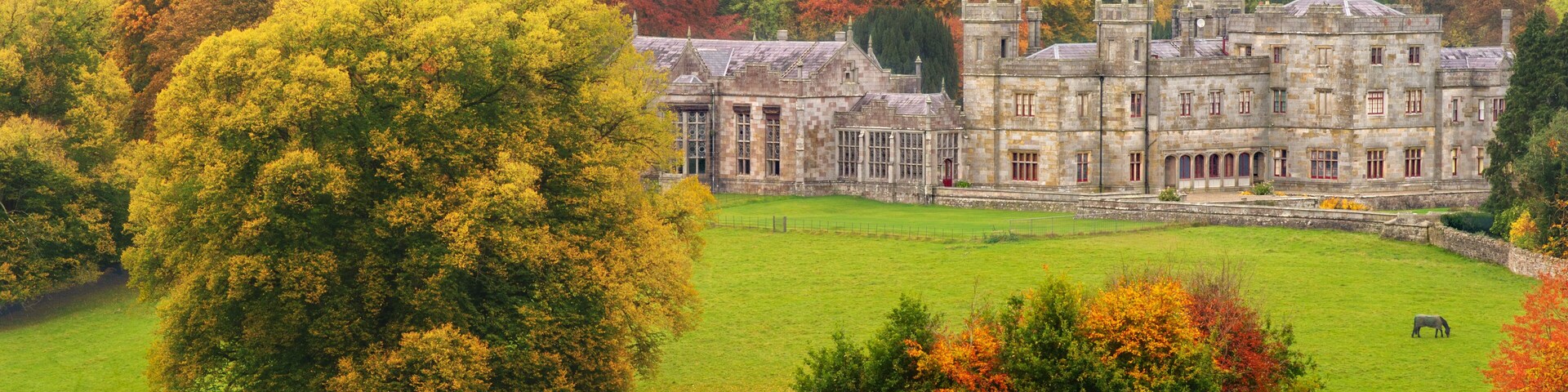 Back in time: under a grey sky by a splendid autumn's morning, alone in a park just accompany by deers, horses and cows, Lough Fea, Carrickmacross, County Monaghan, Ireland
