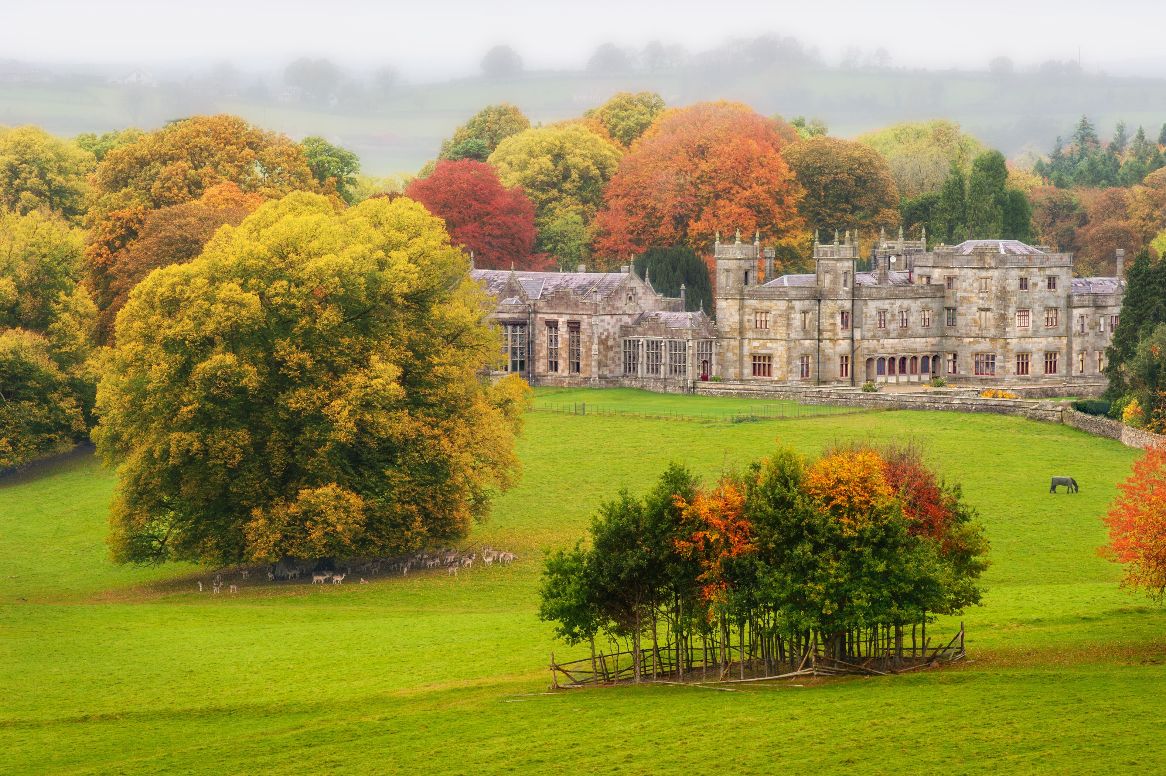 A historic stone building surrounded by autumn-colored trees and a green field with grazing animals.