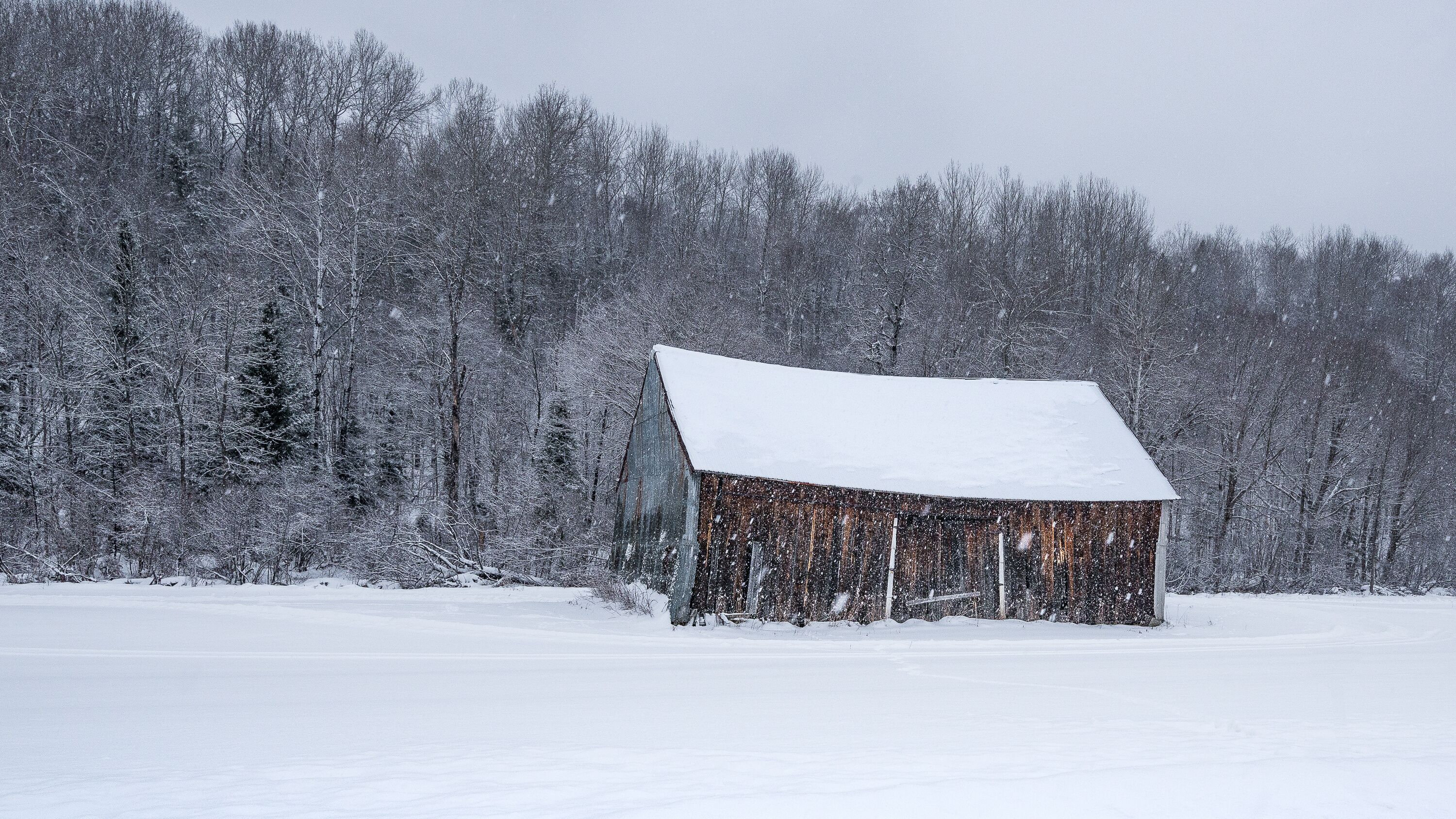 Barn landscape in winter