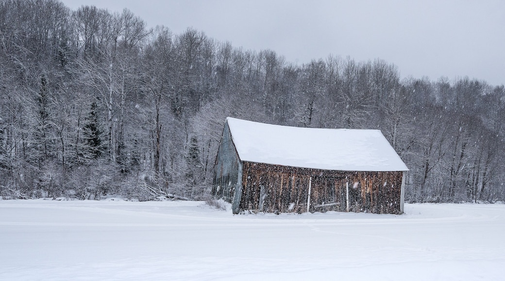 Barn landscape in winter