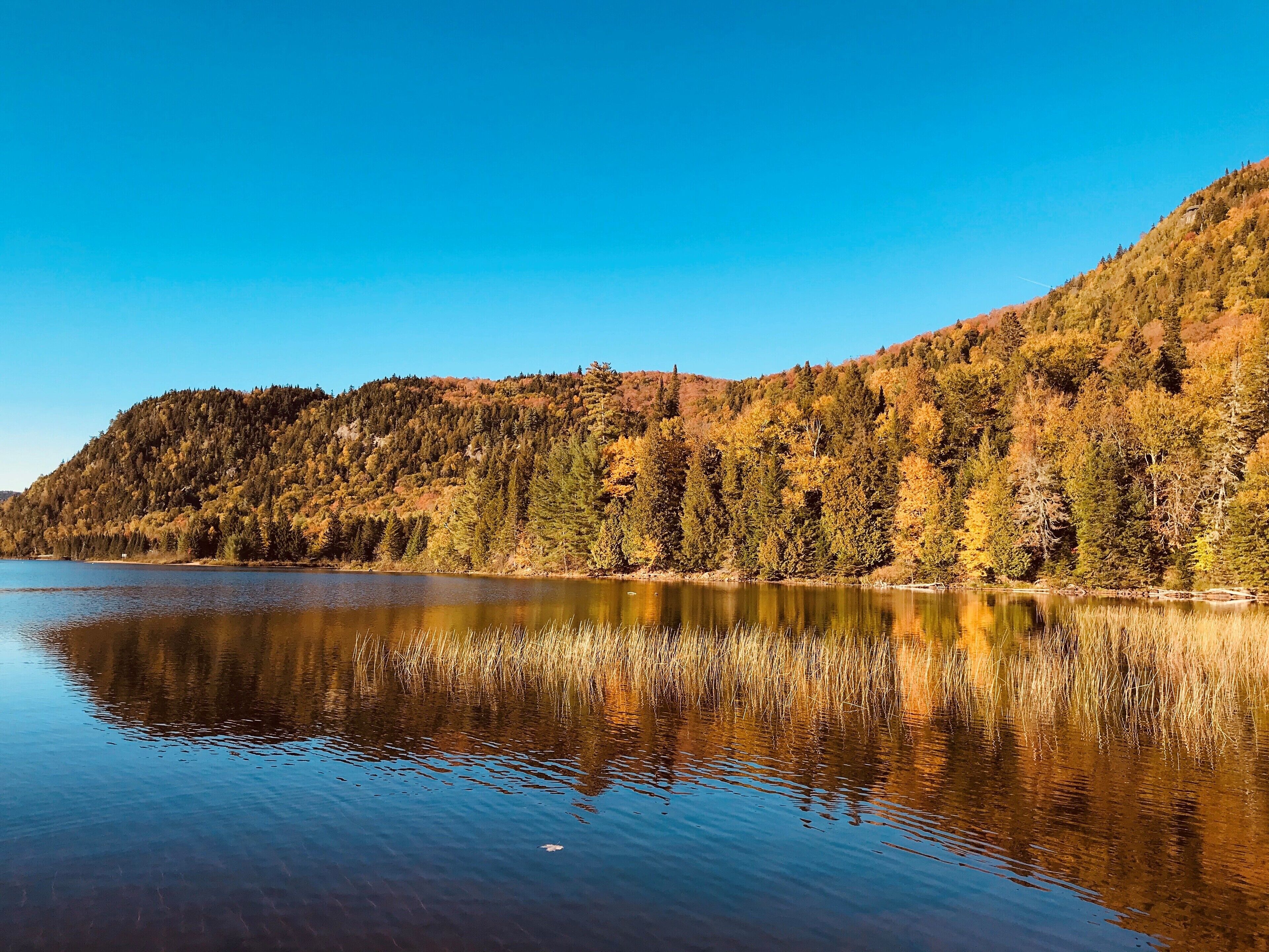Lac Monroe in Mont Tremblant, Canada. #Fallfoliage #LifeAtExpedia