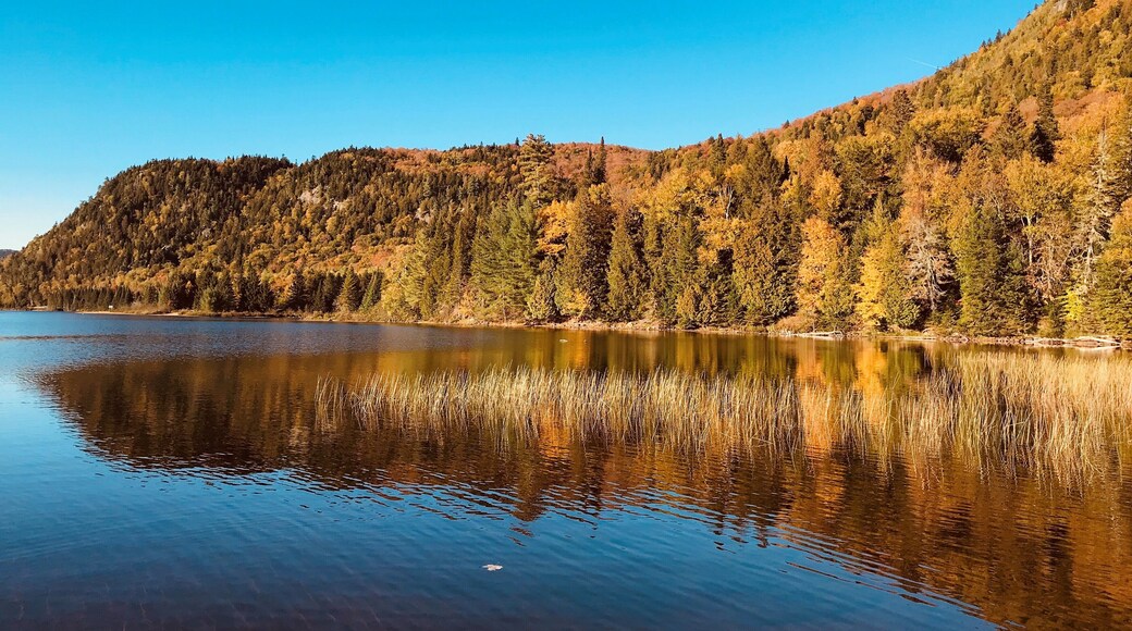 Lac Monroe in Mont Tremblant, Canada. #Fallfoliage #LifeAtExpedia