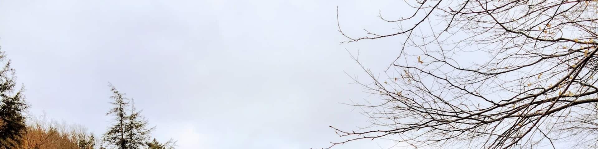 Ablaze with color now. We know winter is next! Mont Tremblant is beautiful all four seasons!