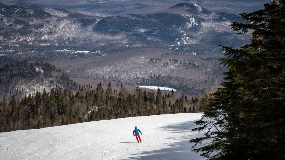 A skier on a snowy slope with a forested mountain range in the background.