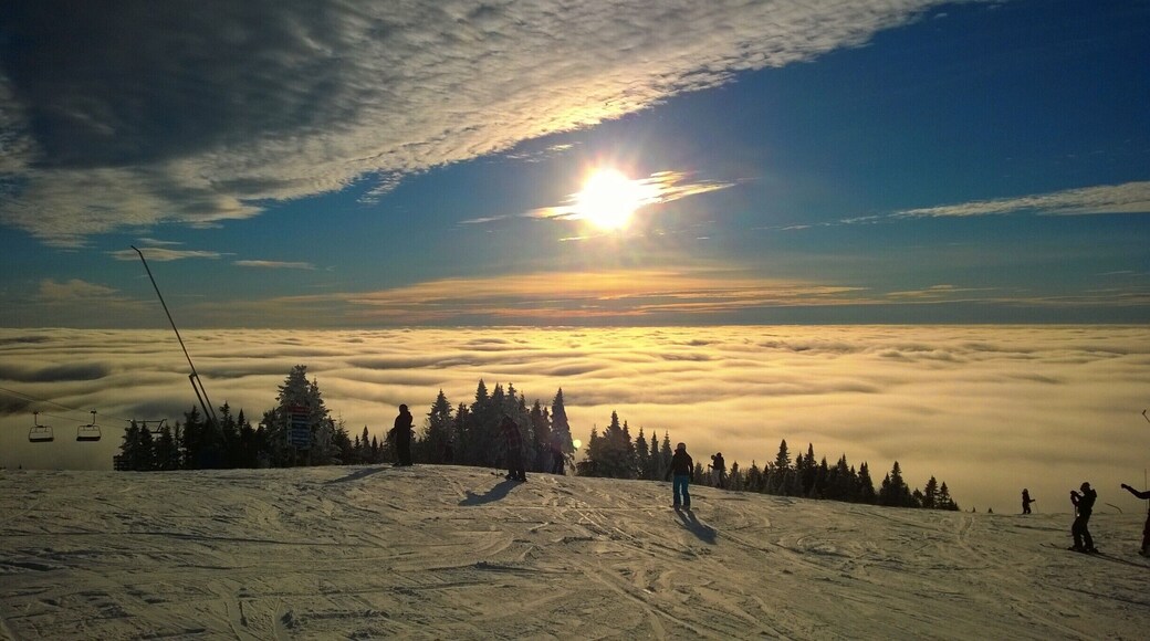 Snowboarding above the clouds. Beautiful ending to a great day of riding at Tremblant! #snow