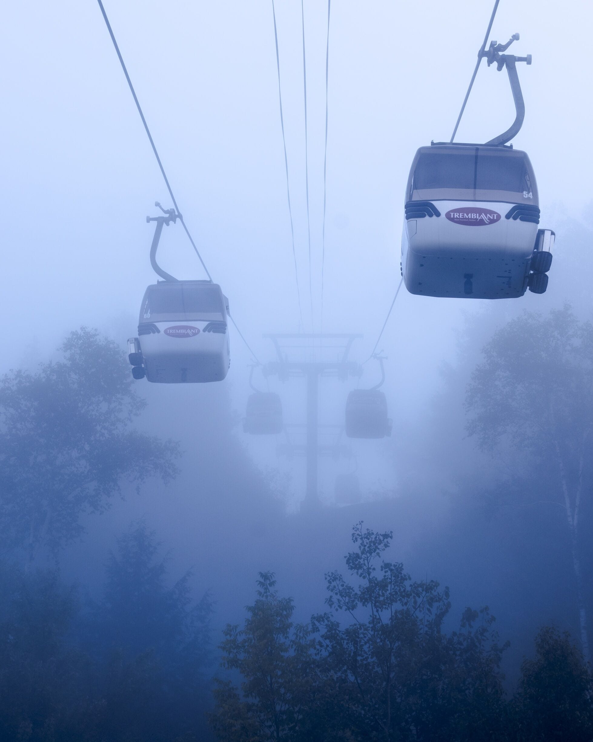 Off into the Abyss 
#BVSTrove