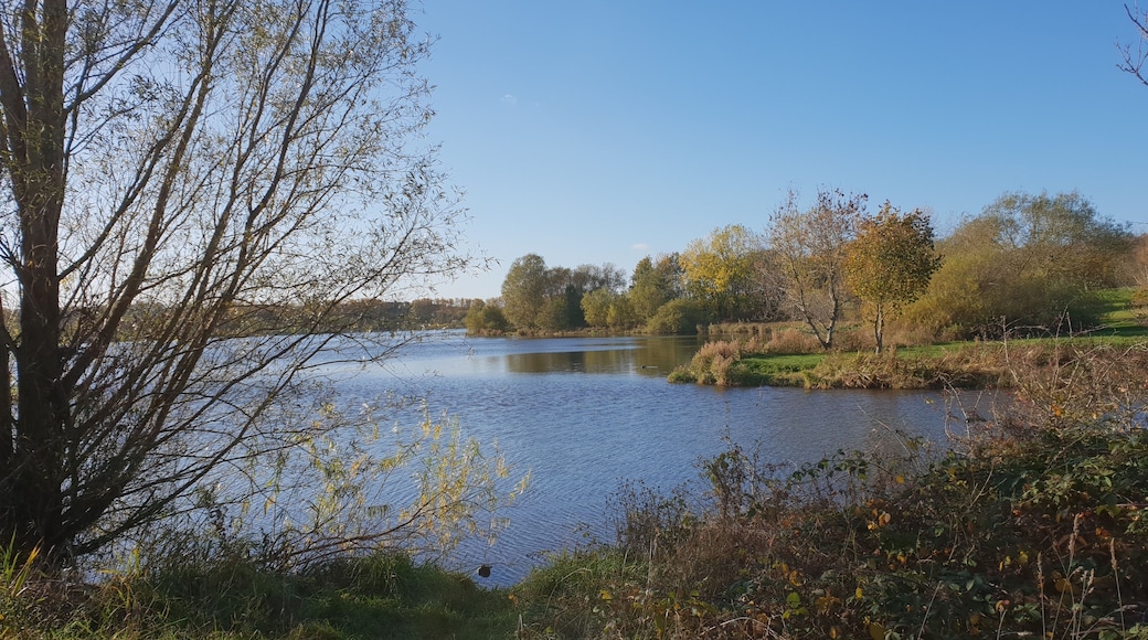 Lovely cold crisp morning at the loch
