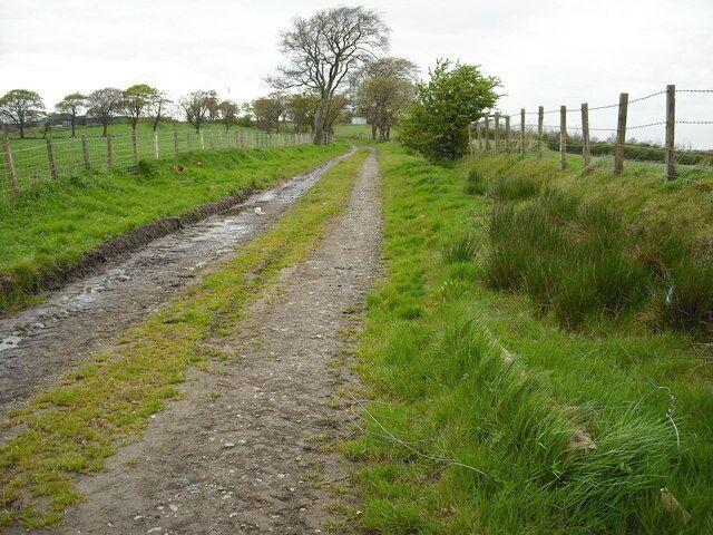 Track leading to Sandyford