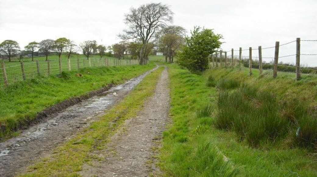 Track leading to Sandyford