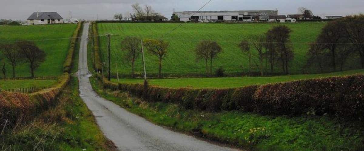 A rural road leading to a farmstead with green fields and a cloudy sky.