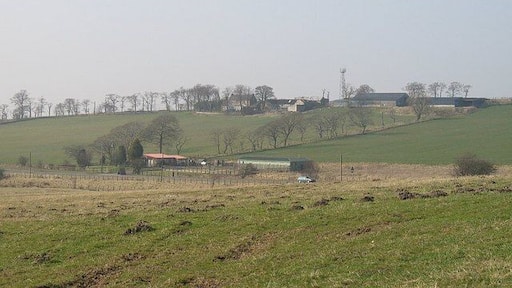 Mole infested grazing, North Linrigg Beyond the pasture is the former A8 and on the hill, Sandyford.