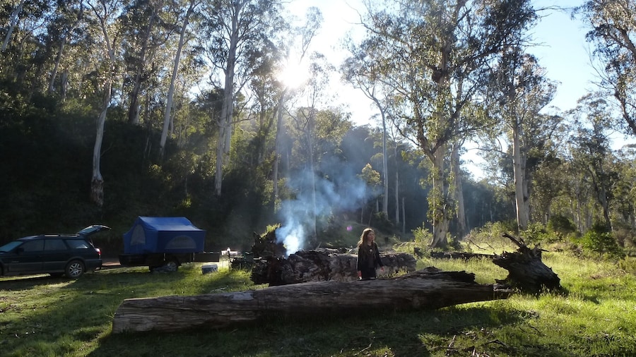 Fantastic, free camping... pretty little spot by the river. This is up in the high country of Victoria. Near Craig's Hut where the movie 'Man from Snowy River ' was filmed. Camping area is called Bindaree Flats, an old cattlemen's hut is opposite us...2 wheel drive access to this point on a rough road though...but ok to drive on. Grab a map and go!
