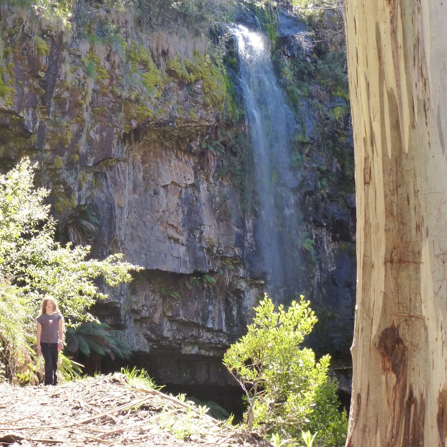 Just love this area. Bindaree Falls is a pretty spot on the road down to a free camping area called Bindaree Flats. The hut that was used in the Australian Movie 'Man from Snowy River' is nearby too. This is known as the Victorian High Country - weather can be unpredictable - so pack well and take in food - loads of free camping area- grab a map too! More information on my site -www.wickedwalkabout.com.au