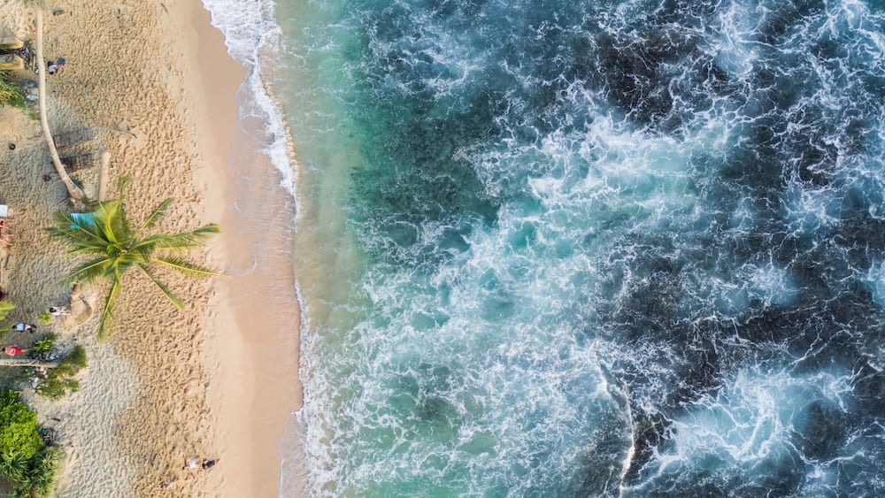 A beach with palm trees and waves.