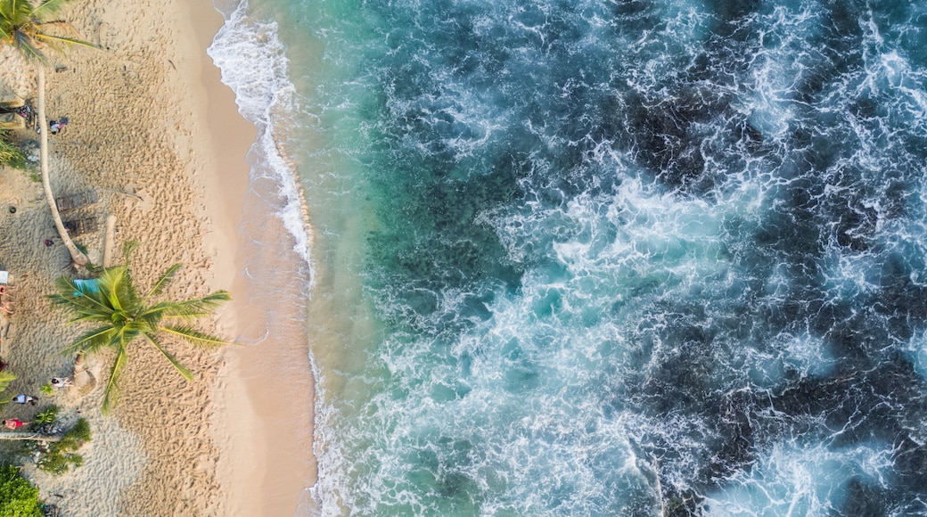 Sri Lankan Paradise