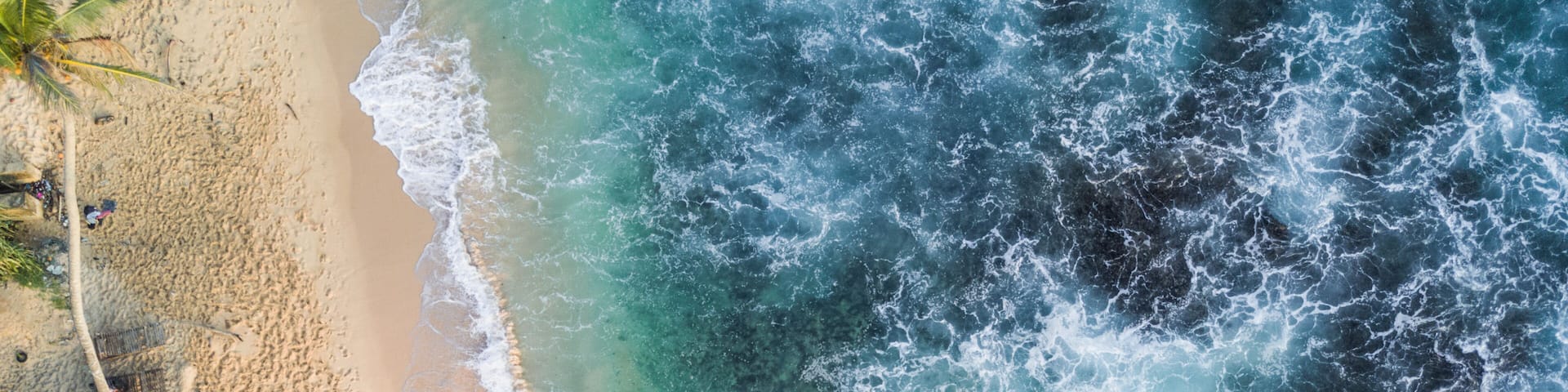 A beach with palm trees and waves.