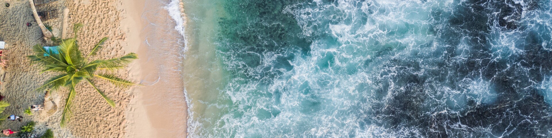Una playa con palmeras y olas.