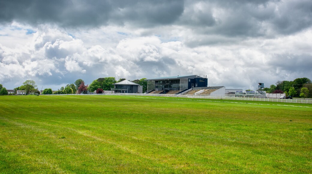Naas Racecourse, Country Kildare, Ireland