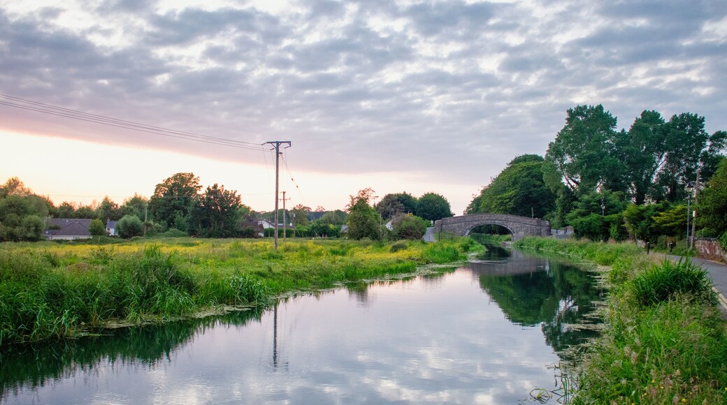 Beautiful Sunrise at Irish Canal