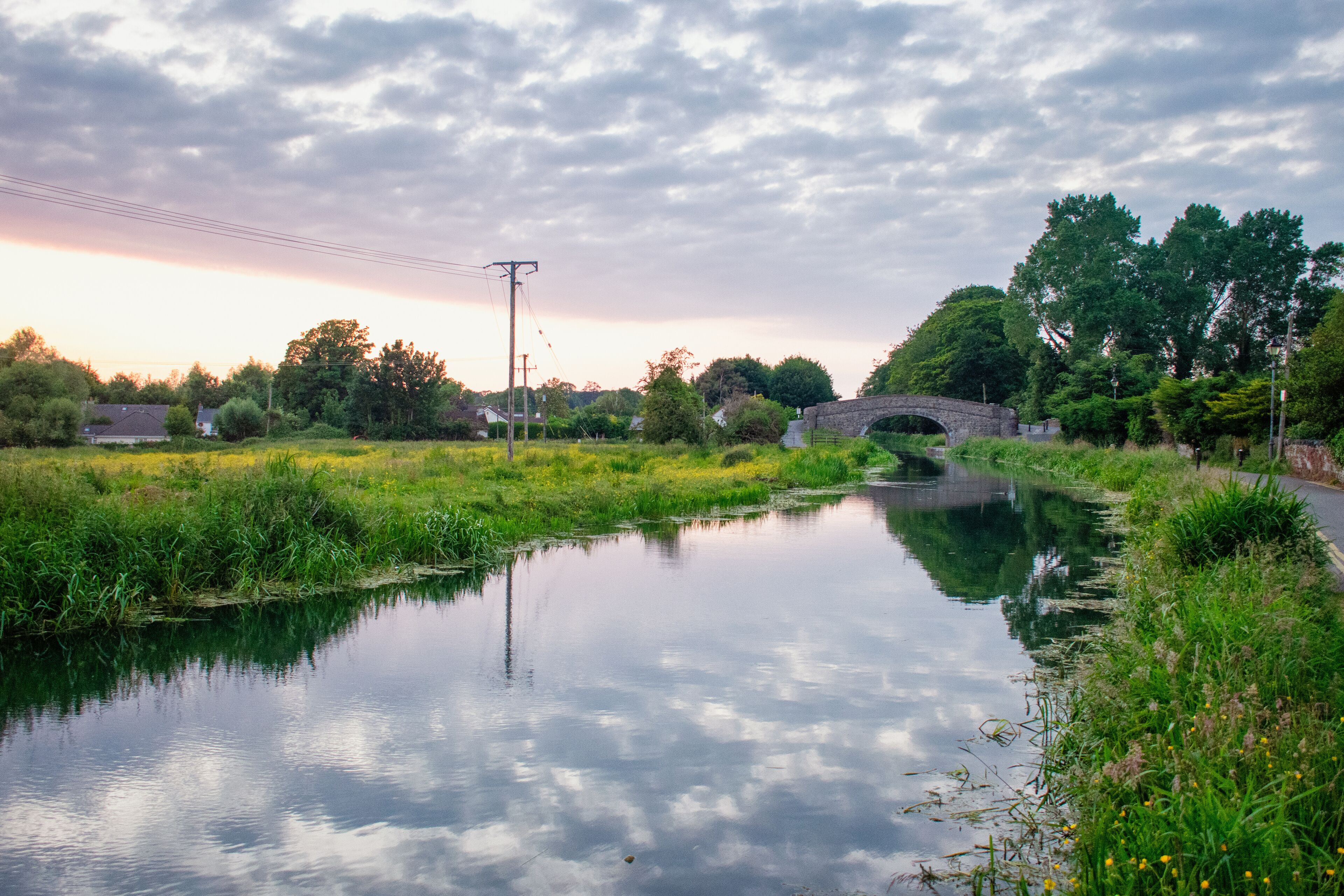 A calm river with a stone bridge, surrounded by lush greenery and trees.