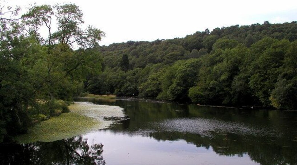 The River Leven at Newby Bridge.