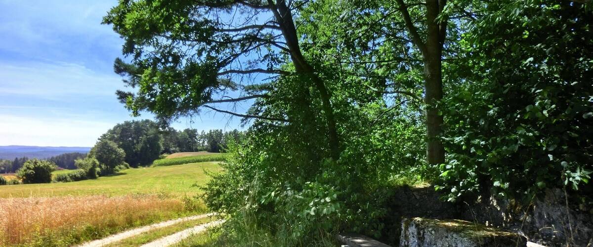 Schattiger Rastplatz am Breitenstein