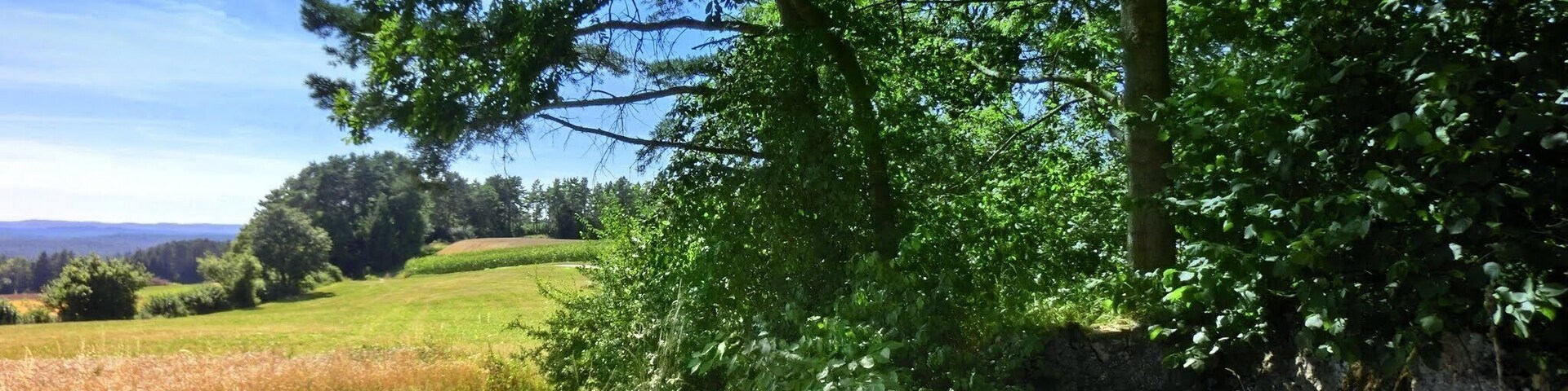 Schattiger Rastplatz am Breitenstein