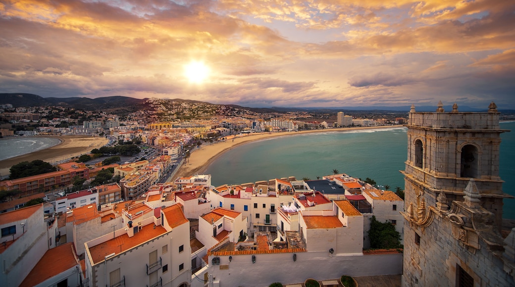 เพนิสโคลา