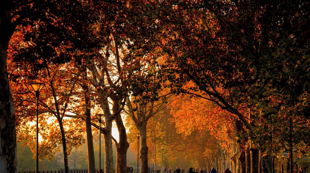 This is a photo of a monument which is part of cultural heritage of Italy. This monument participates in the contest Wiki Loves Monuments Italia 2016. See authorisations.