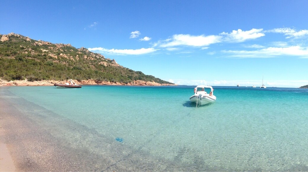 The beauty of the sea 🌊