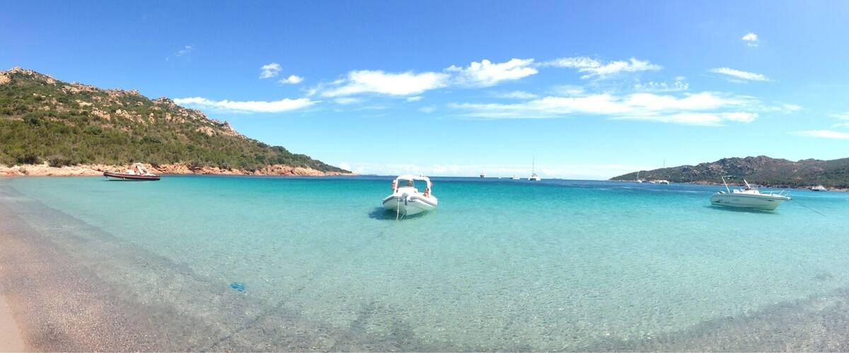 The beauty of the sea 🌊